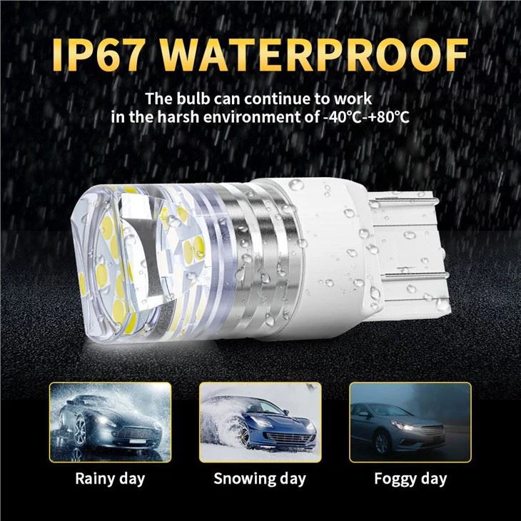 Reverse Light Led Bulb 12v